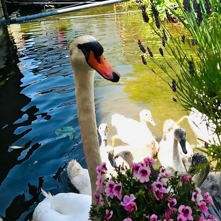 Gasthuis Peaceful On A Houseboat In The Centre