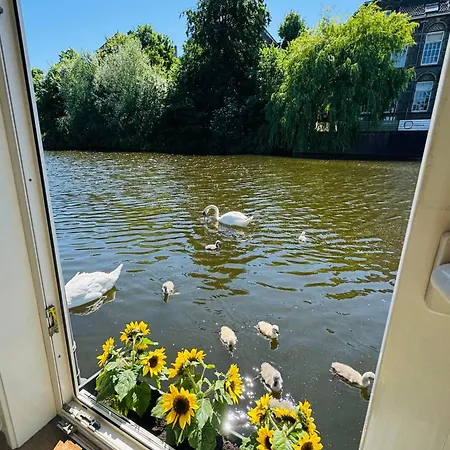 Peaceful On A Houseboat In The Centre