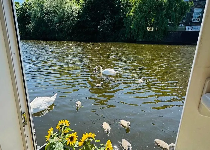 Peaceful On A Houseboat In The Centre